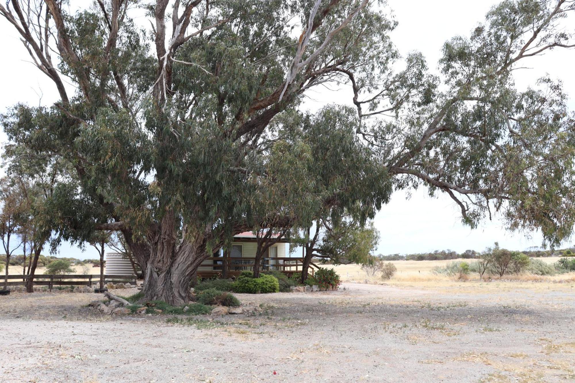 Coodlie Park Eco Retreat Villa Talia Buitenkant foto